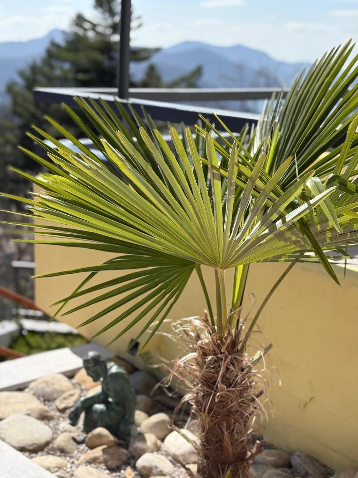 Al Ponte Otel Cademario Dış mekan fotoğraf